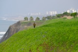 a man standing on top of a lush green hillside