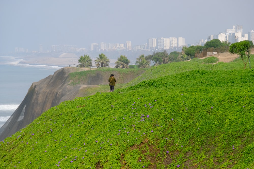 a man standing on top of a lush green hillside