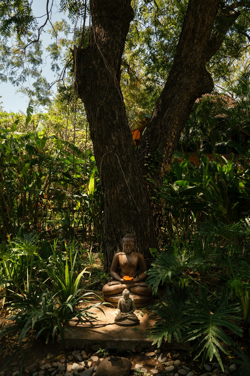 a buddha statue sitting under a tree in a forest