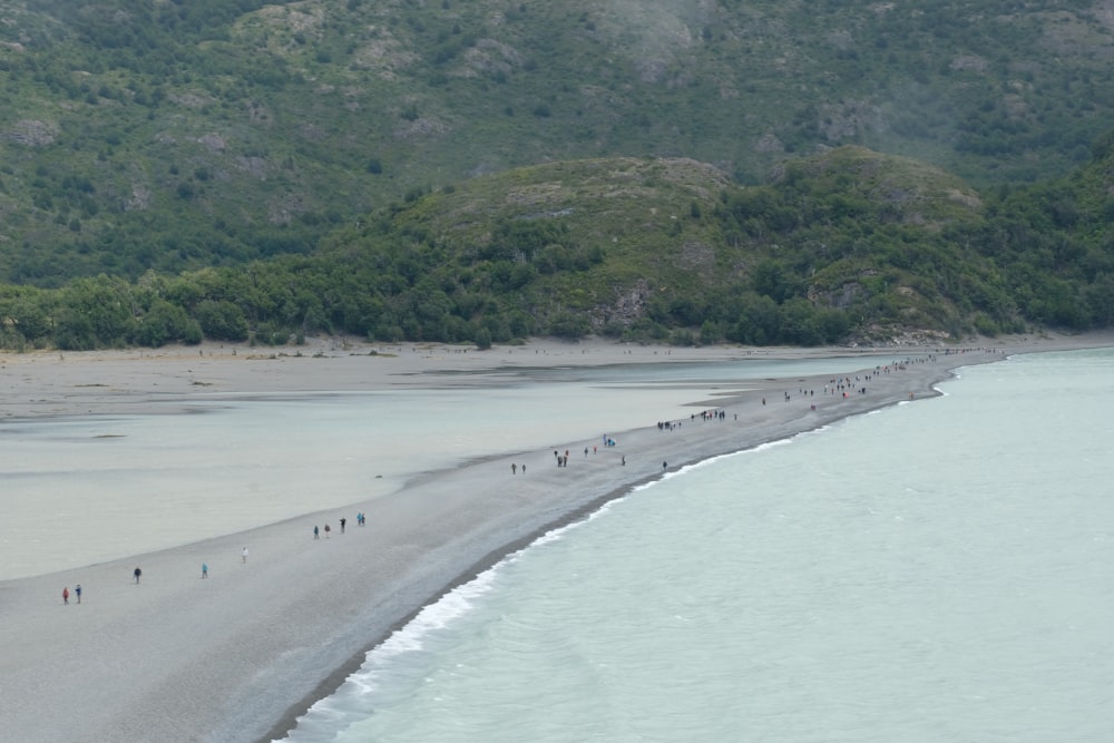 a group of people walking along a beach next to the ocean