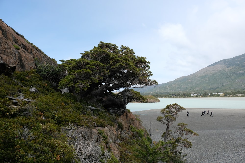 a group of people walking on a beach next to a mountain