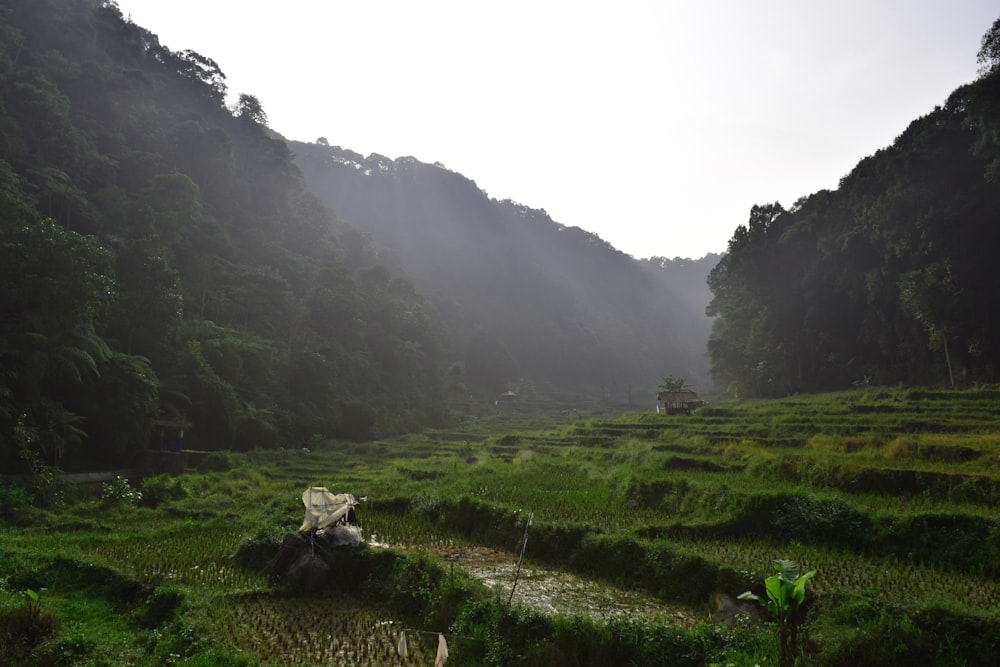 a lush green field surrounded by mountains and trees