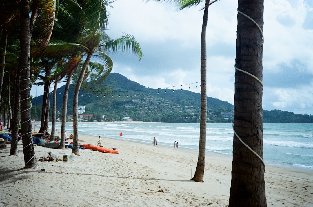 a beach with palm trees and people on it,