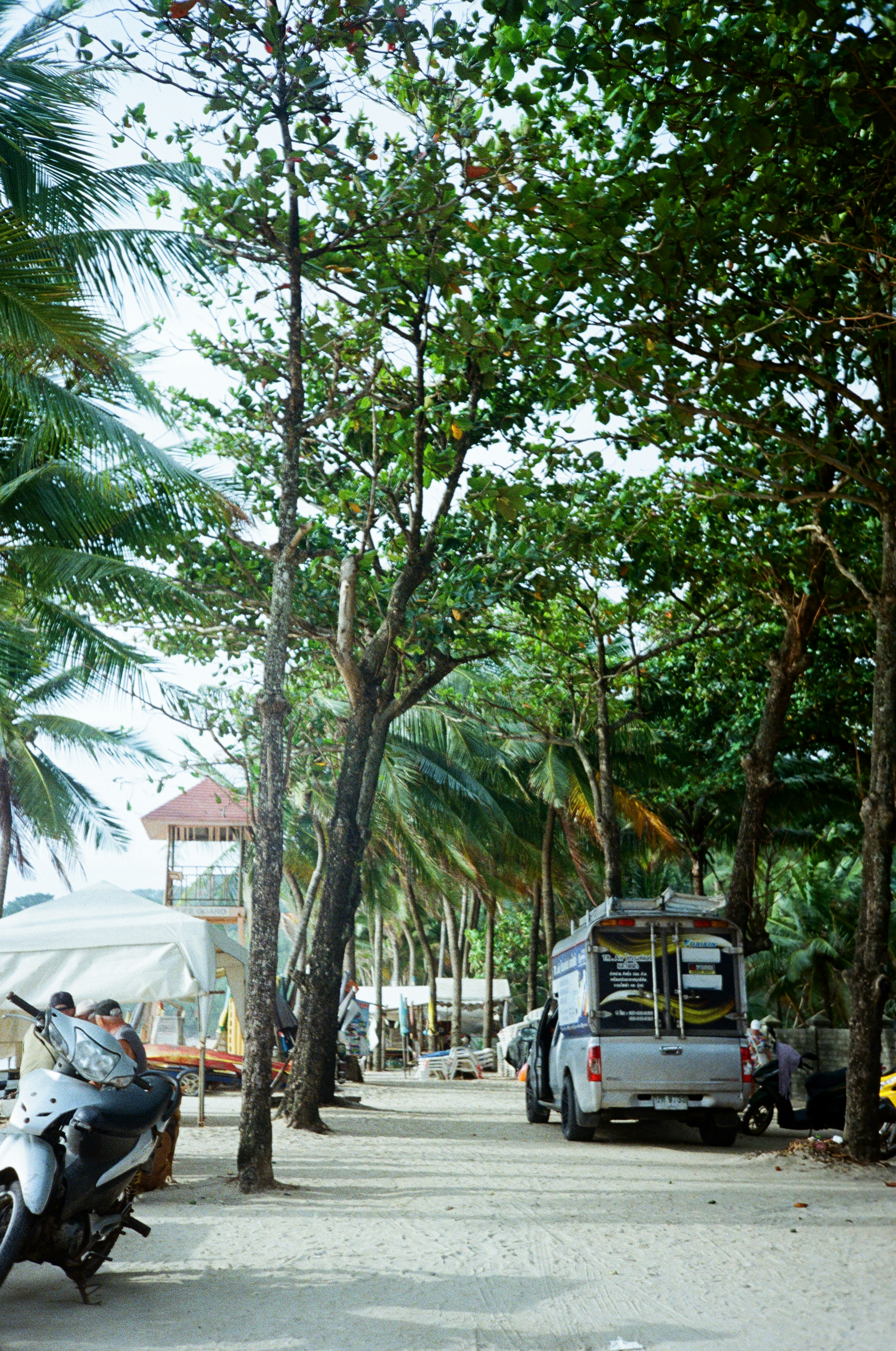 Photo by zhashkevych