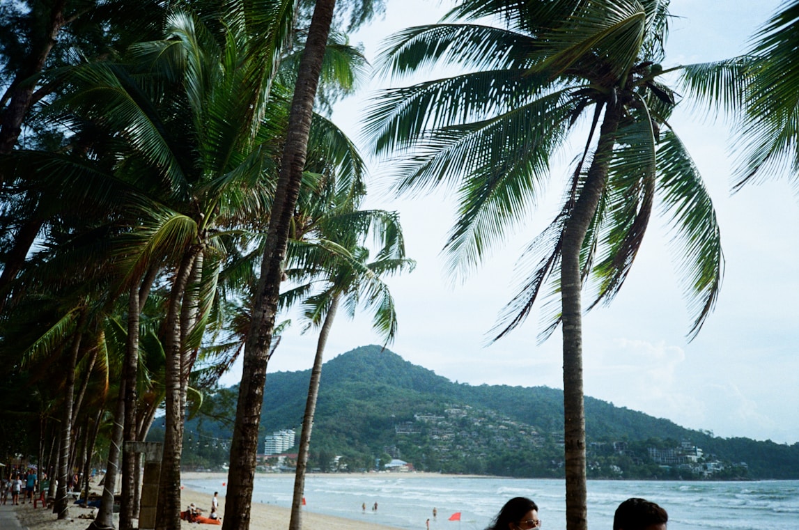 a man and a woman sitting on a bench under palm trees