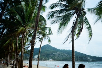 a man and a woman sitting on a bench under palm trees