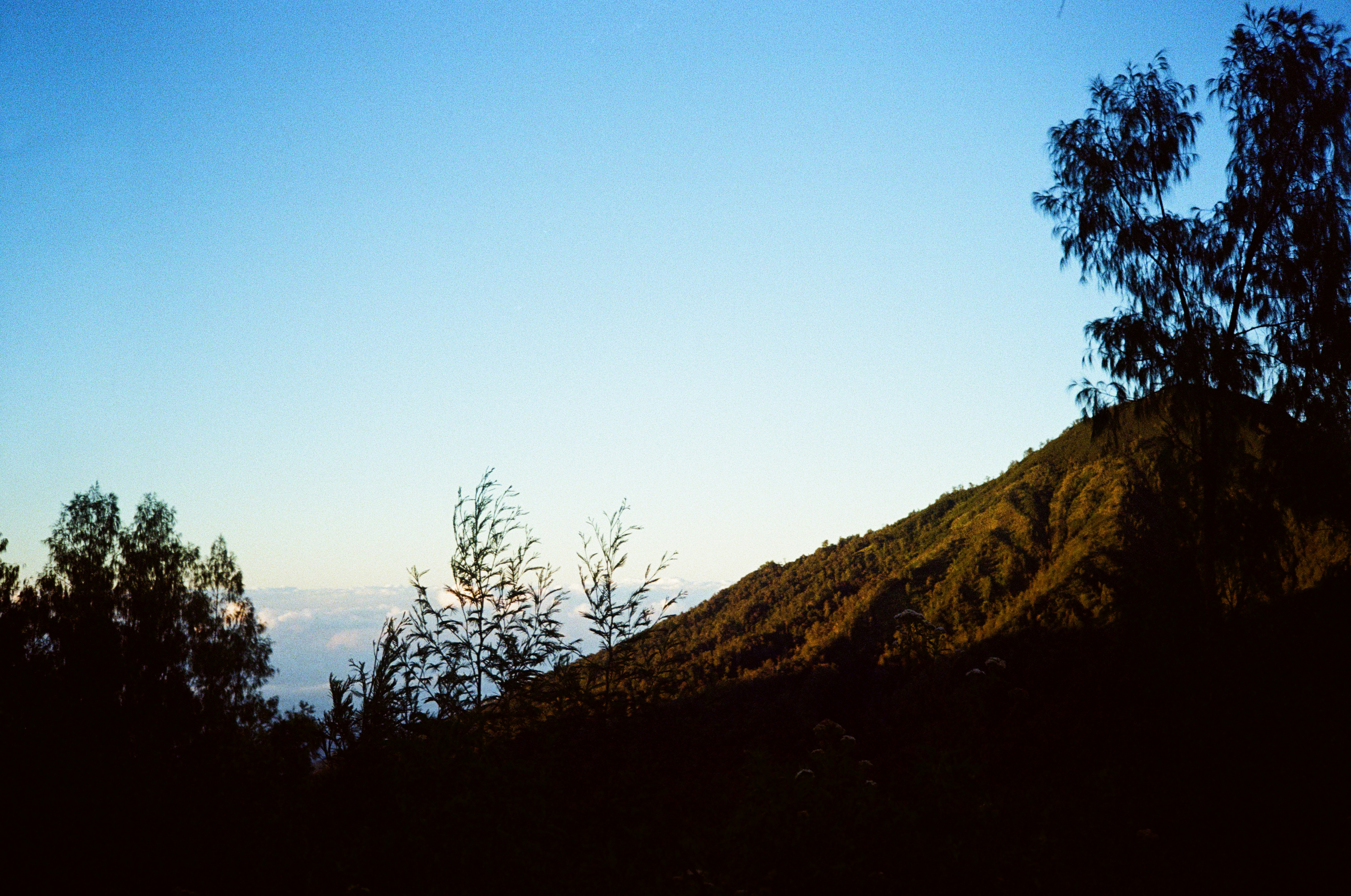 Photo by zhashkevych