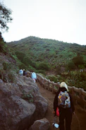 Close-up of hikers crossing a rocky mountain trail surrounded by lush greenery.