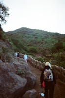 A group of professionals hiking a lush green mountain trail.