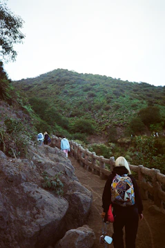 Close-up of hikers crossing a rocky mountain trail surrounded by lush greenery.