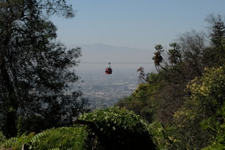 The cable car offering stunning views of Medellin.