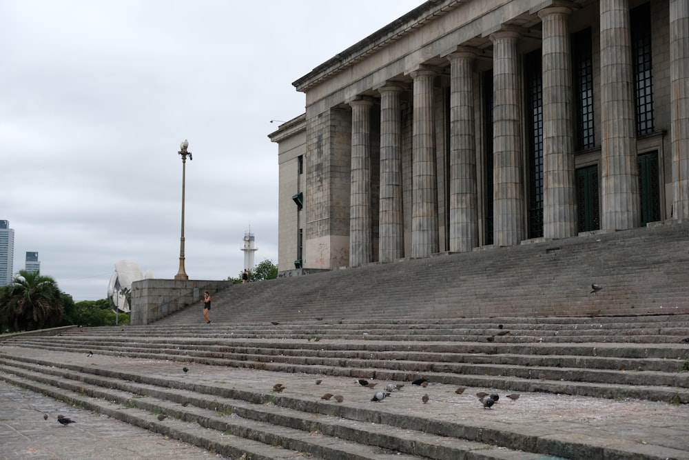 a bunch of birds that are sitting on some steps