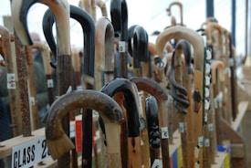 A collection of uniquely designed walking sticks displayed vertically. Each stick features intricate carvings, ranging from animal shapes to abstract patterns. The assortment includes various wood tones and some sticks have glossy finishes, adding diversity to the presentation.