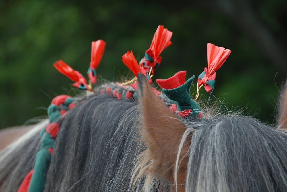 a close up of a horse's head with a crown on it's