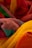 A collection of colorful, textured towels are intertwined, showcasing various bright colors and intricate patterns.