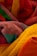 A collection of colorful, textured towels are intertwined, showcasing various bright colors and intricate patterns.