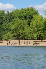 a group of people walking on a beach next to a lake