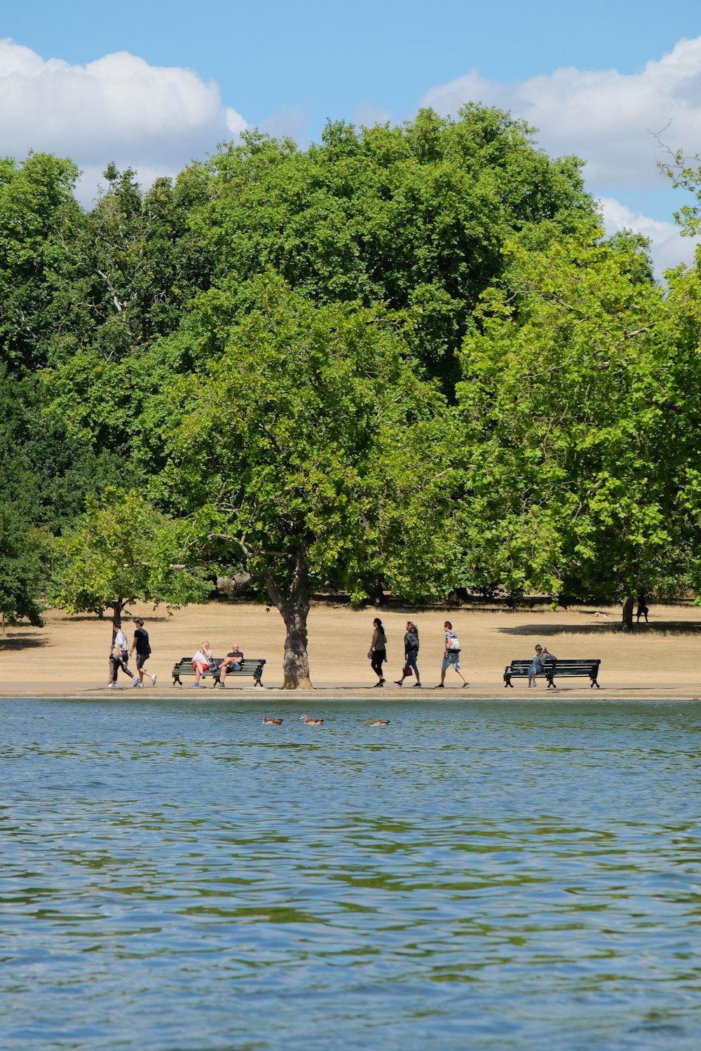 a group of people walking on a beach next to a lake