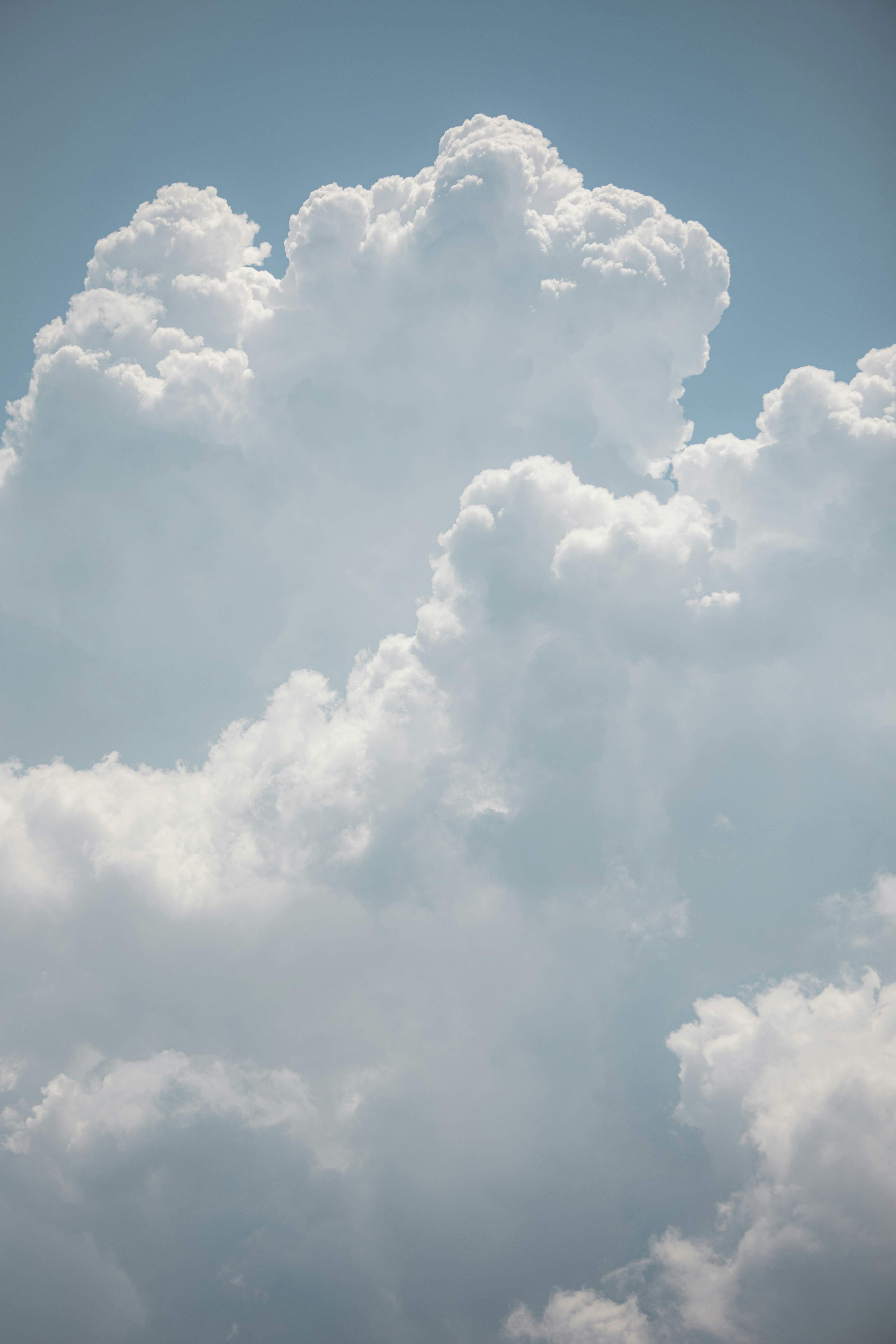 Photo by andrew_creative