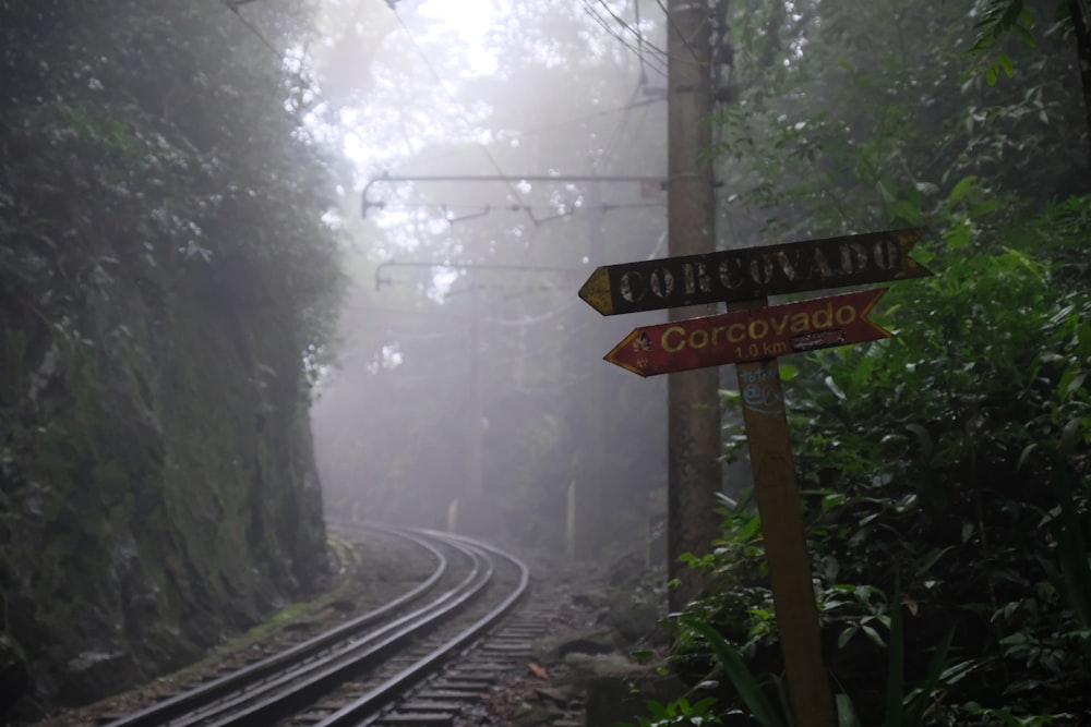 a train track in the middle of a foggy forest