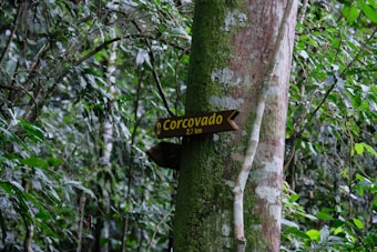 A pathway sign indicating 'Corcovado 2.7 km' attached to a tree trunk in a lush rainforest setting. The surrounding area is densely populated with green foliage and various plants, suggesting a tropical environment.