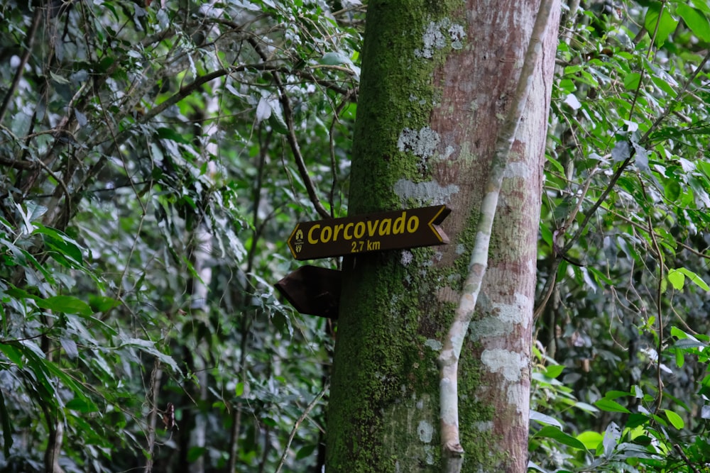 a sign on a tree in the middle of a forest