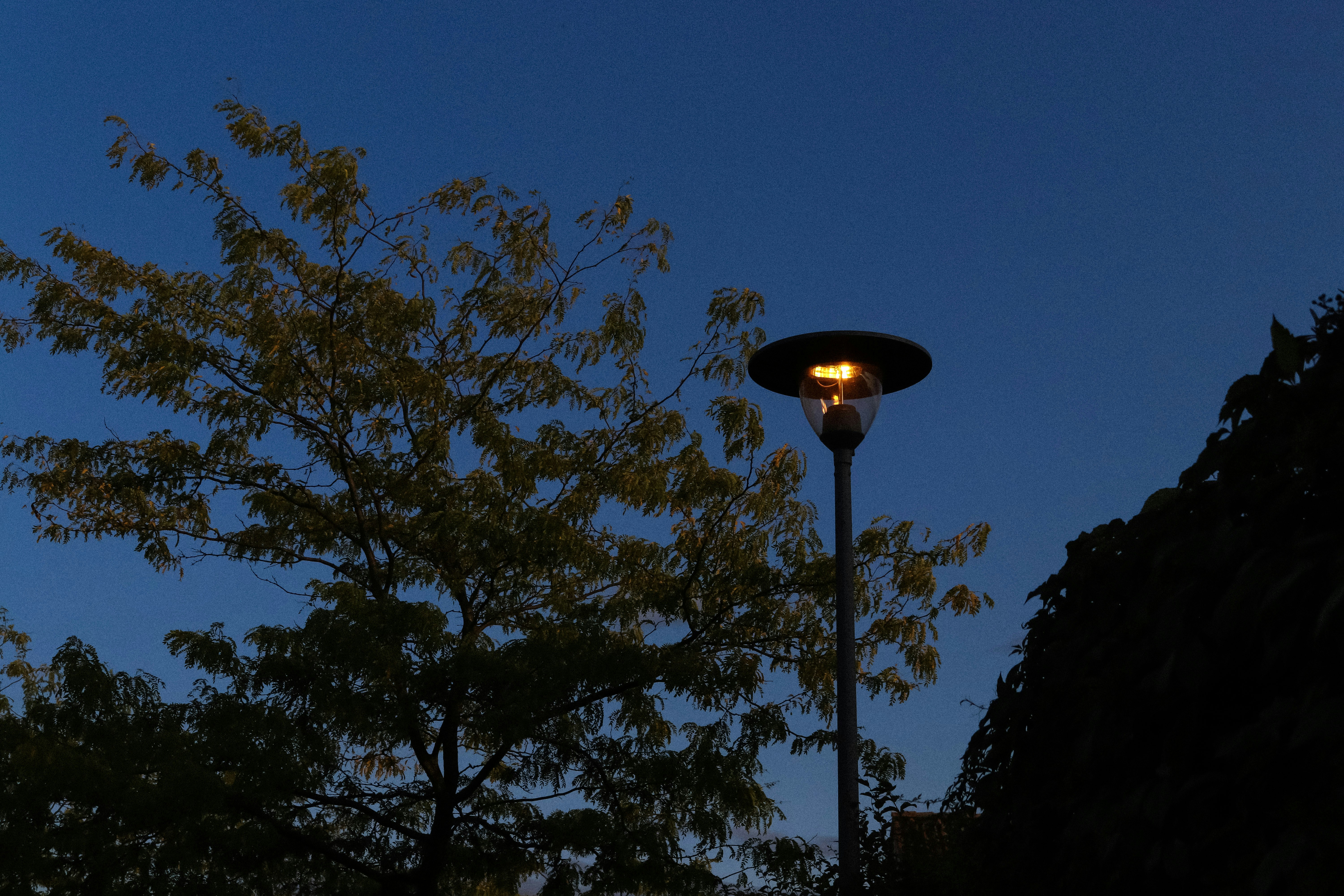 Photo by sorinbasangeac