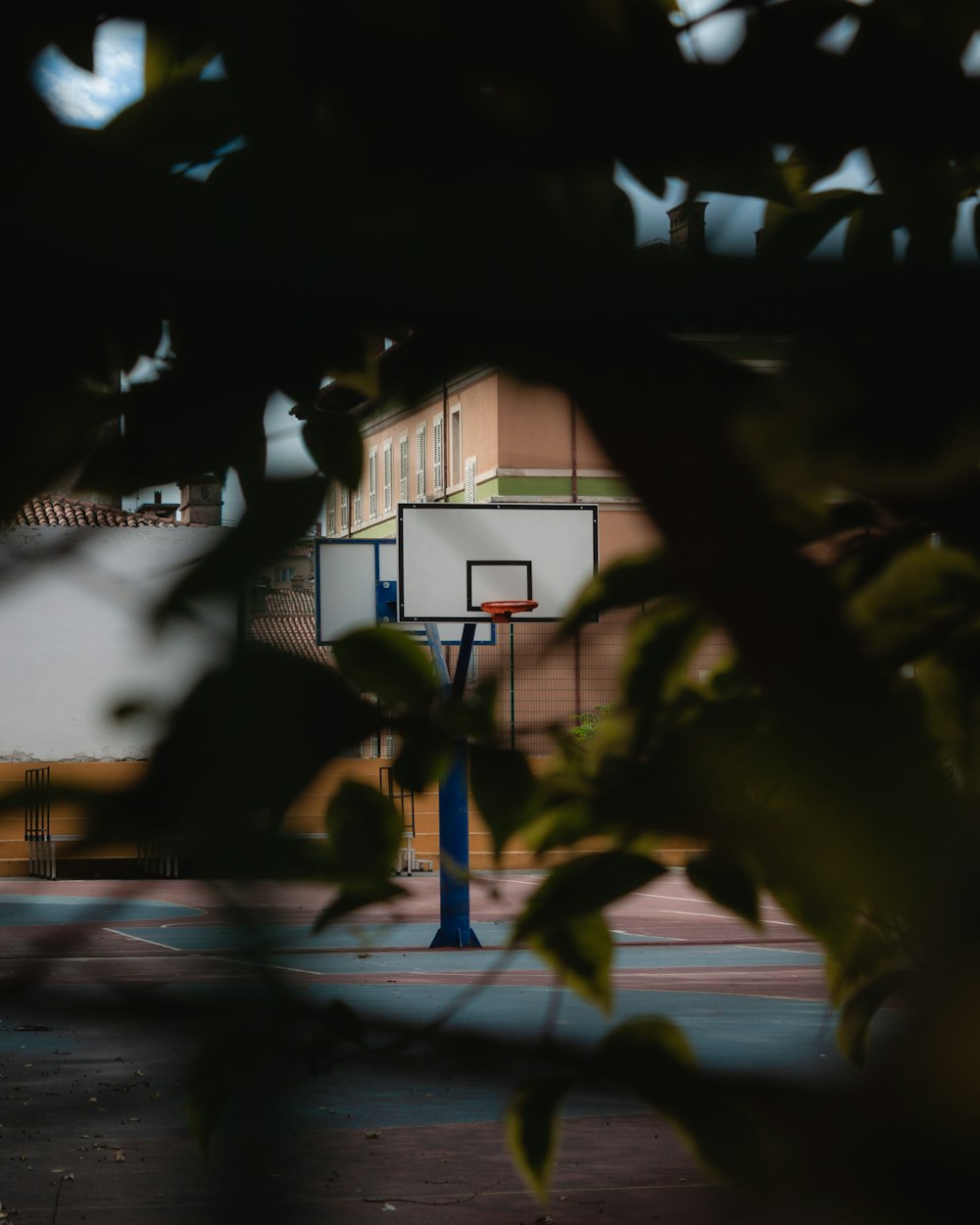 a view of a basketball court through the branches of a tree