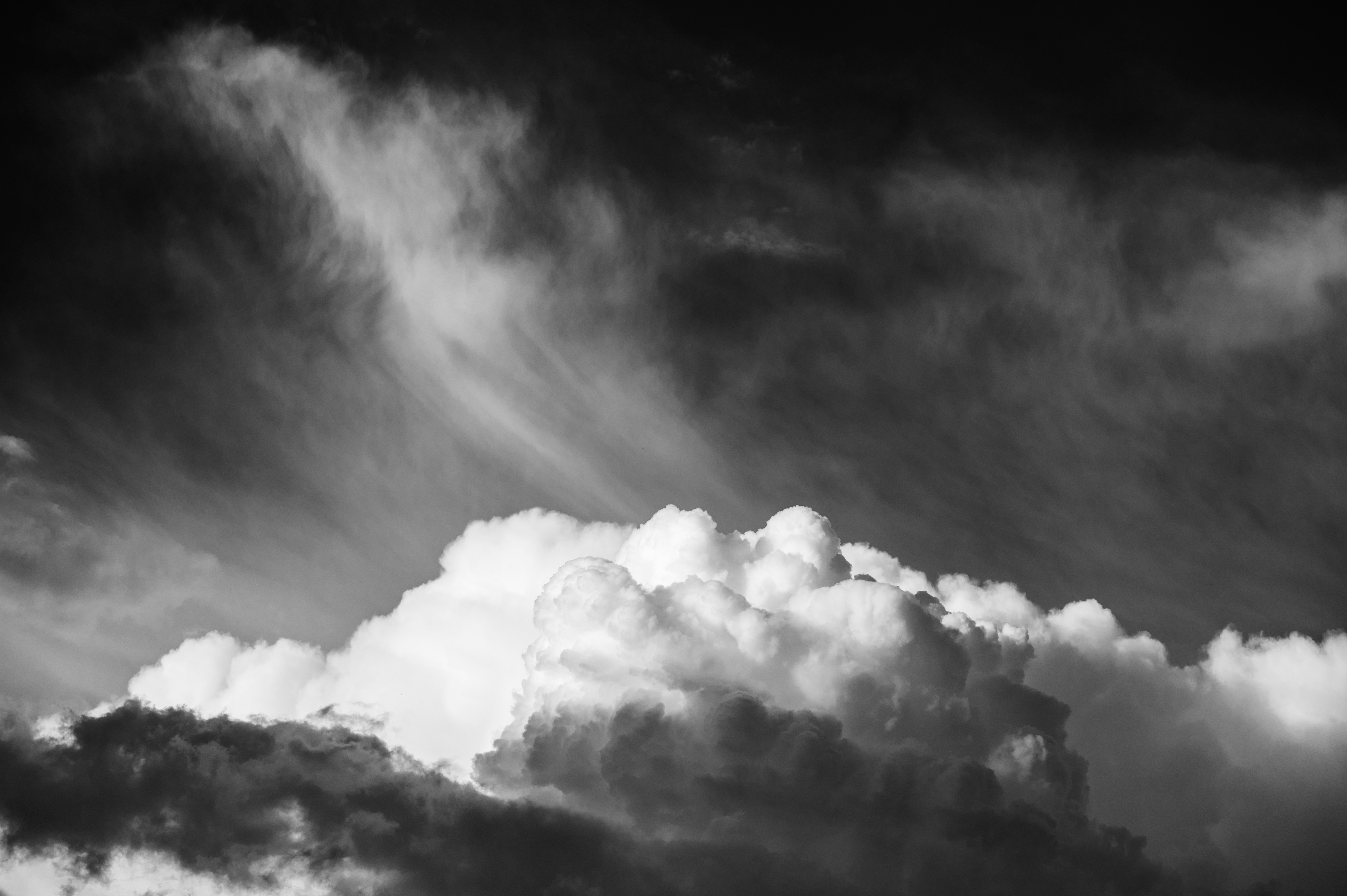 Photo by bayern_lens