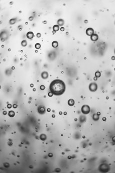 Numerous small and large droplets are suspended in a seemingly random pattern, creating an abstract composition. The droplets appear to be in a liquid environment, possibly water or oil.