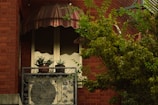 A quaint balcony with a decorative metal railing hosts several small potted plants. An air conditioning unit is partially visible behind the railing. The balcony is shaded by a brown and white striped awning. A brick wall forms the backdrop, with a leafy green tree swaying gently in the foreground.