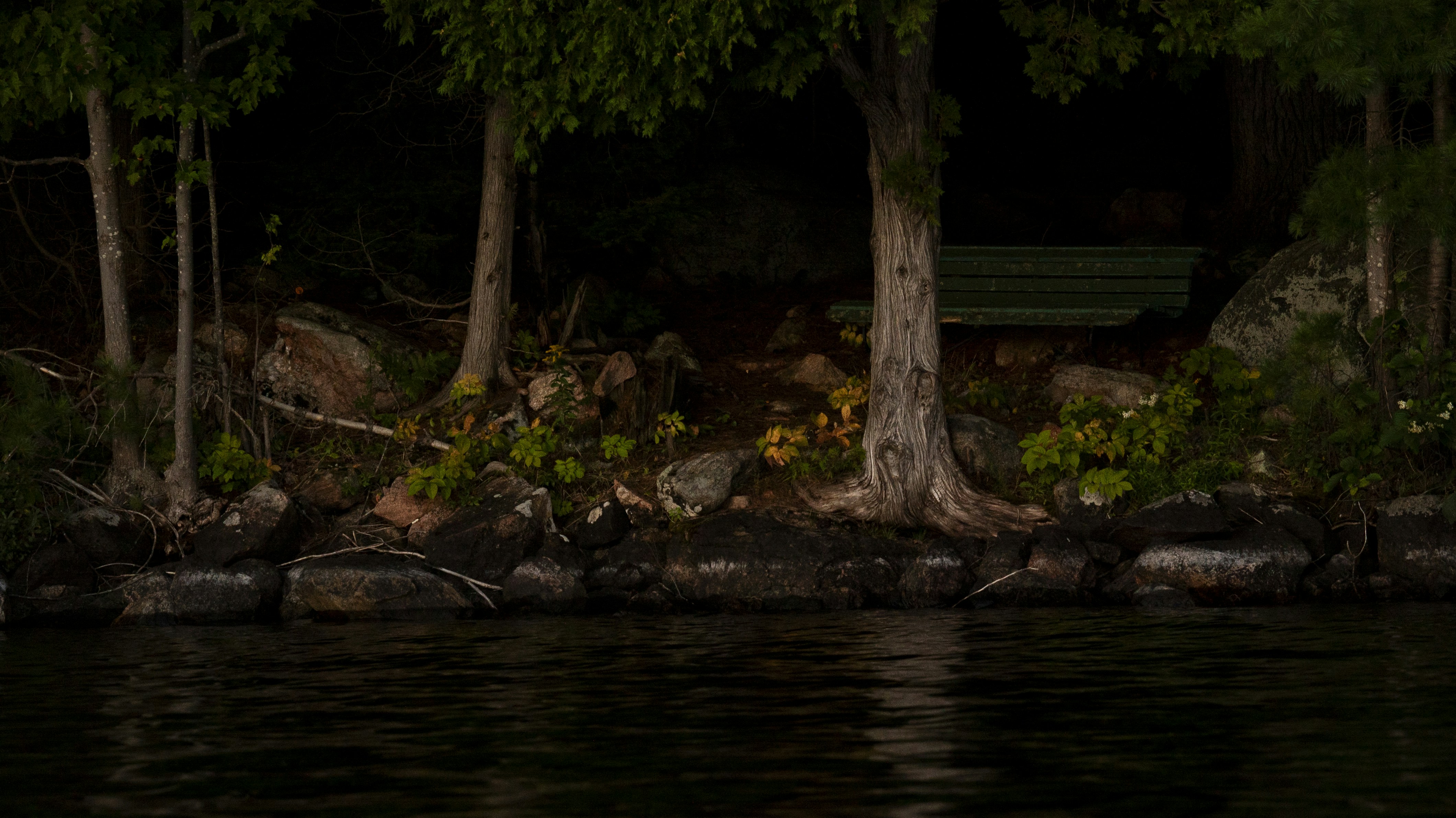 un banc assis sur la rive d’un lac la nuit