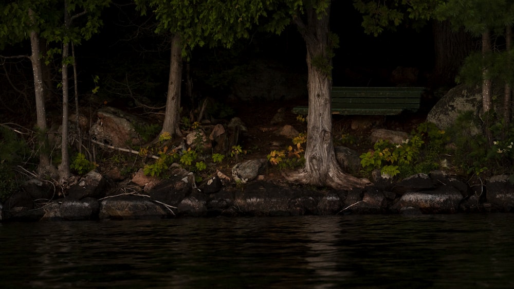 um banco sentado na margem de um lago à noite