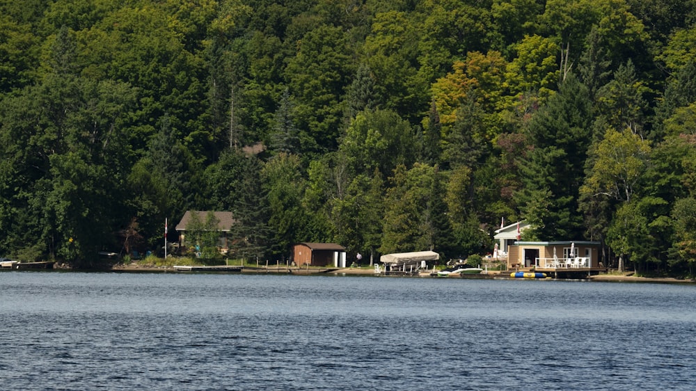 a body of water surrounded by trees and houses