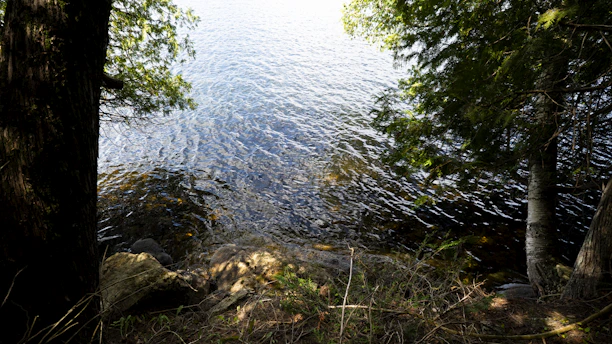 A serene lakeside morning scene with gentle water ripples and soft sunlight at Seven Park Hotel.