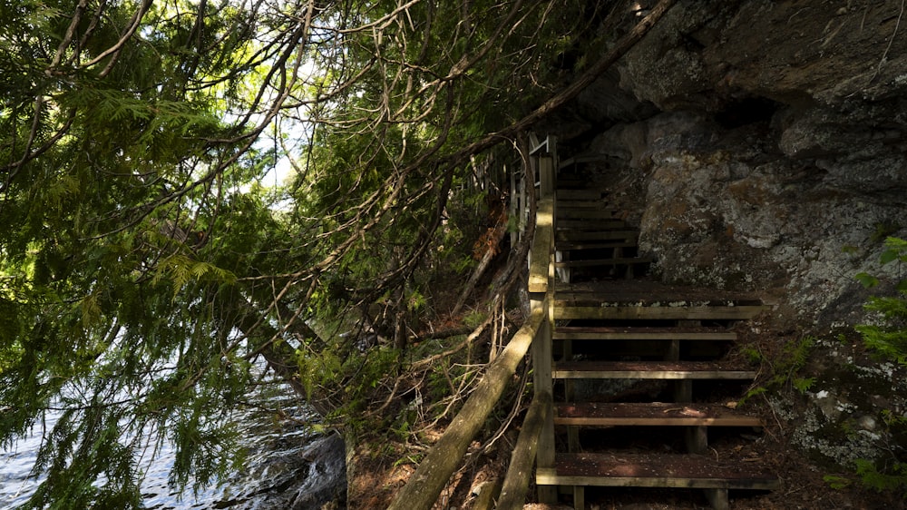 a set of stairs leading up to the top of a cliff