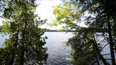 a view of a lake through some trees
