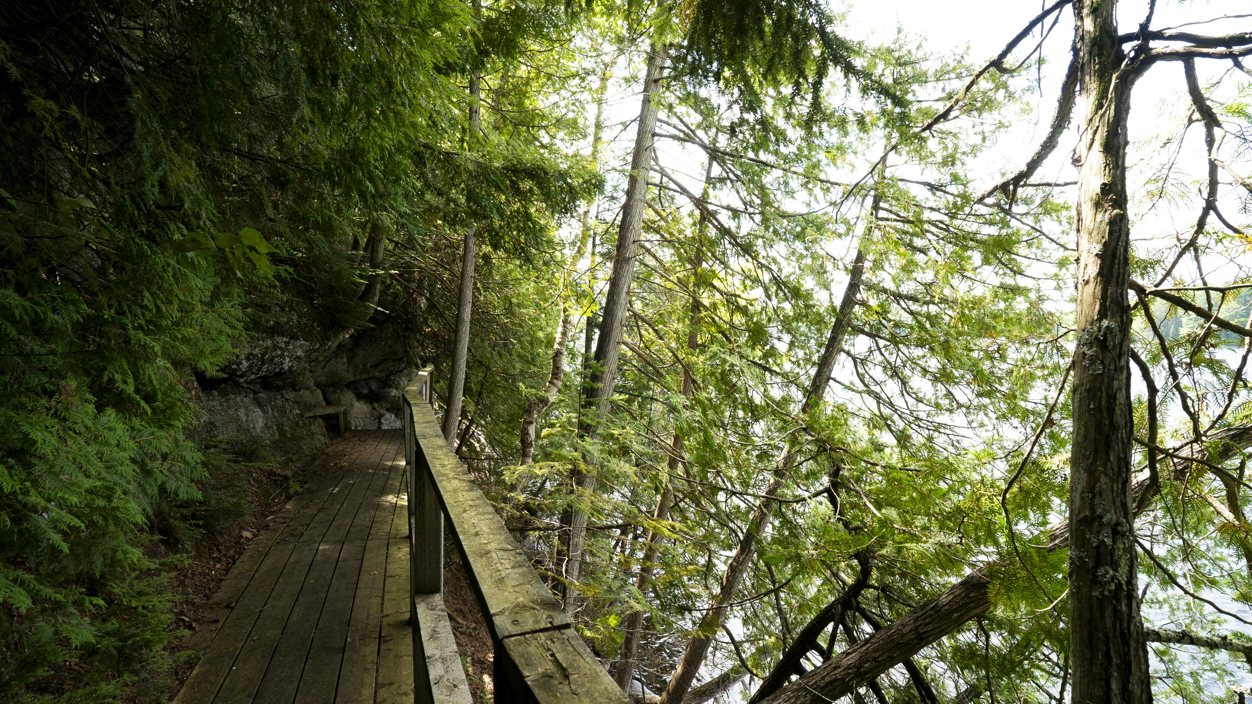 A lakeside pathway with wooden walk.