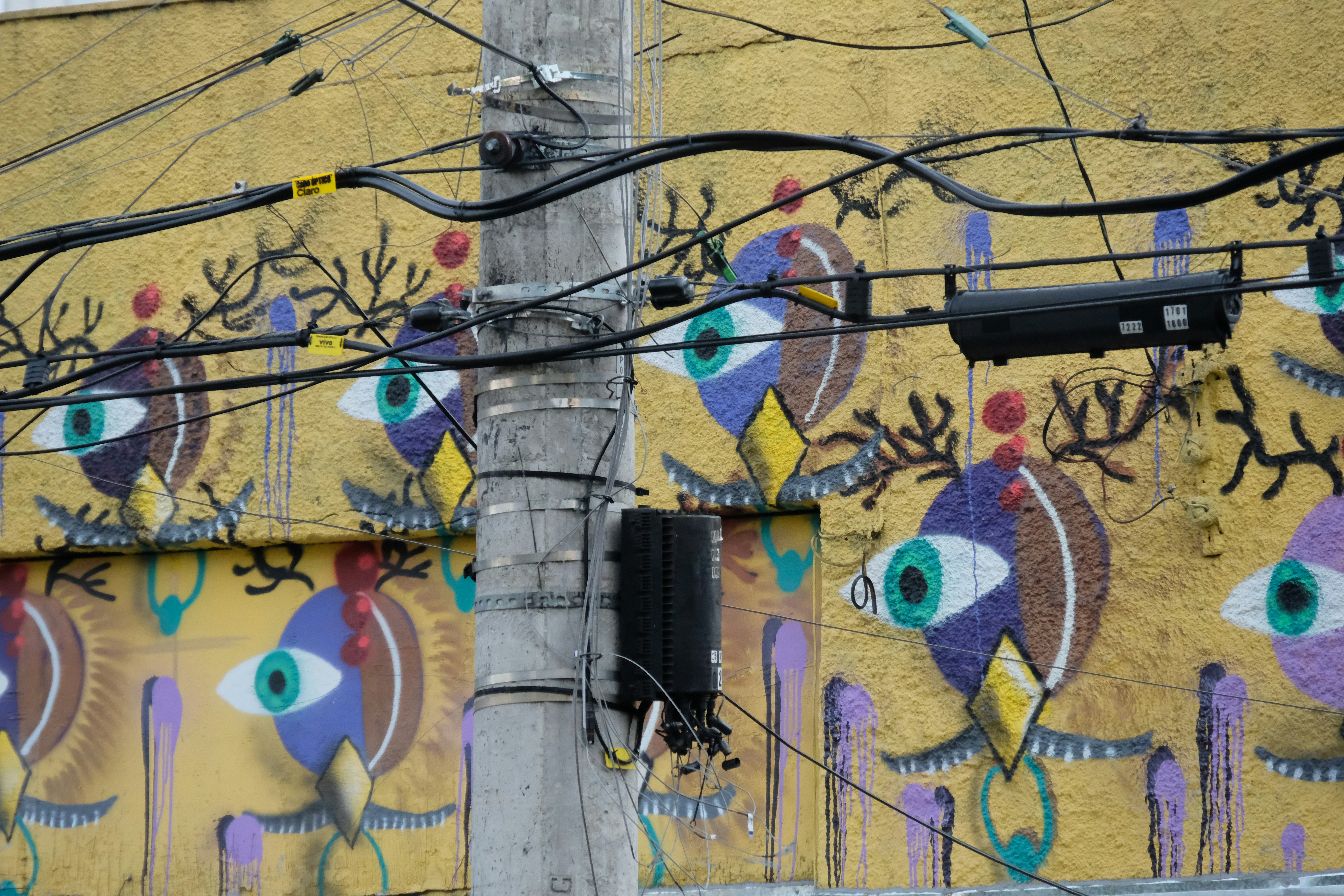 COINTELPRO Never Died: Domestic Surveillance in the Age of Trump