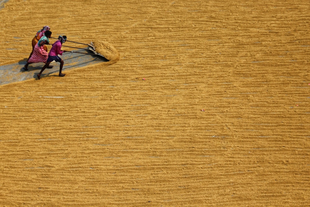 two women are working in a large field