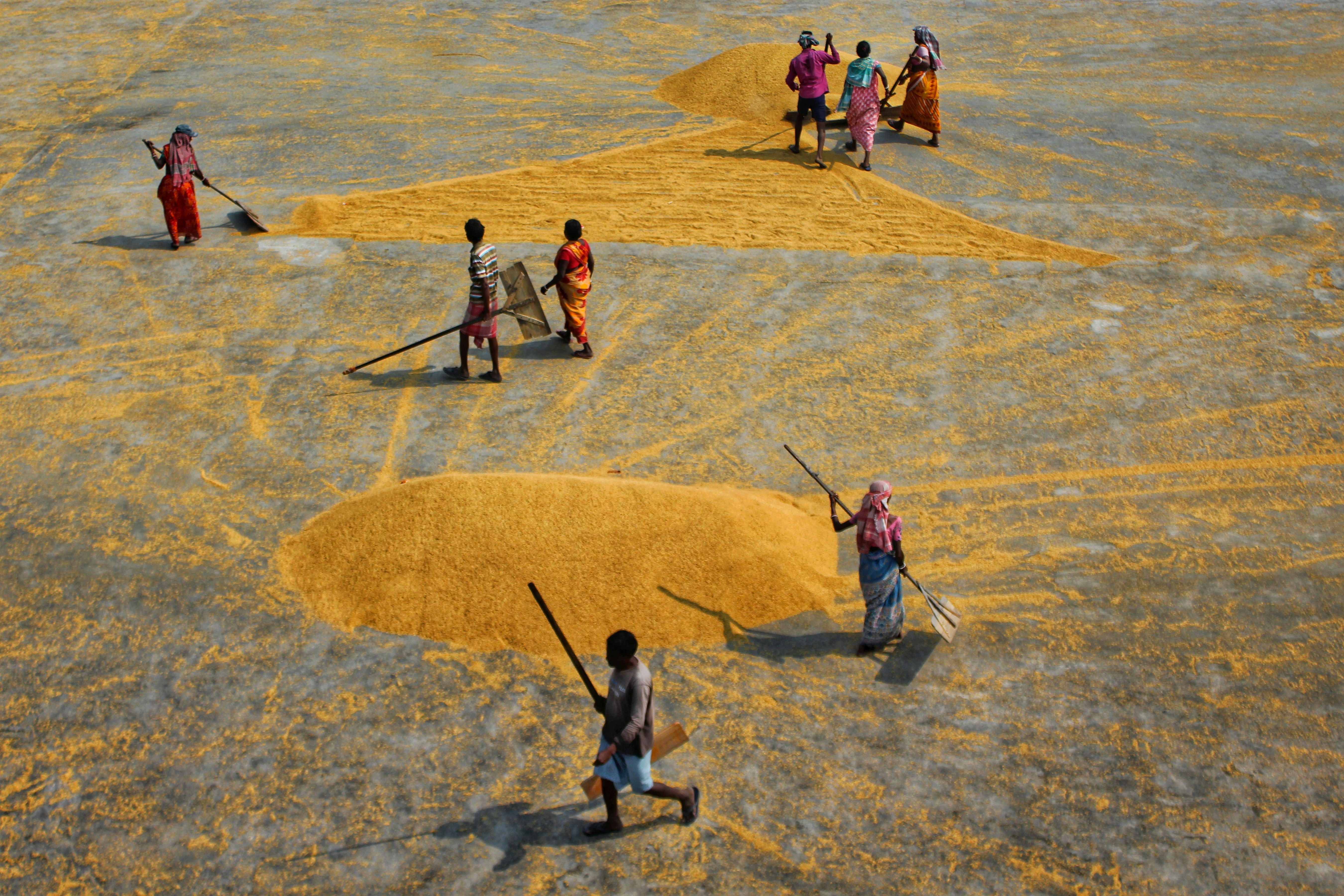 Photo by dibakar16roy