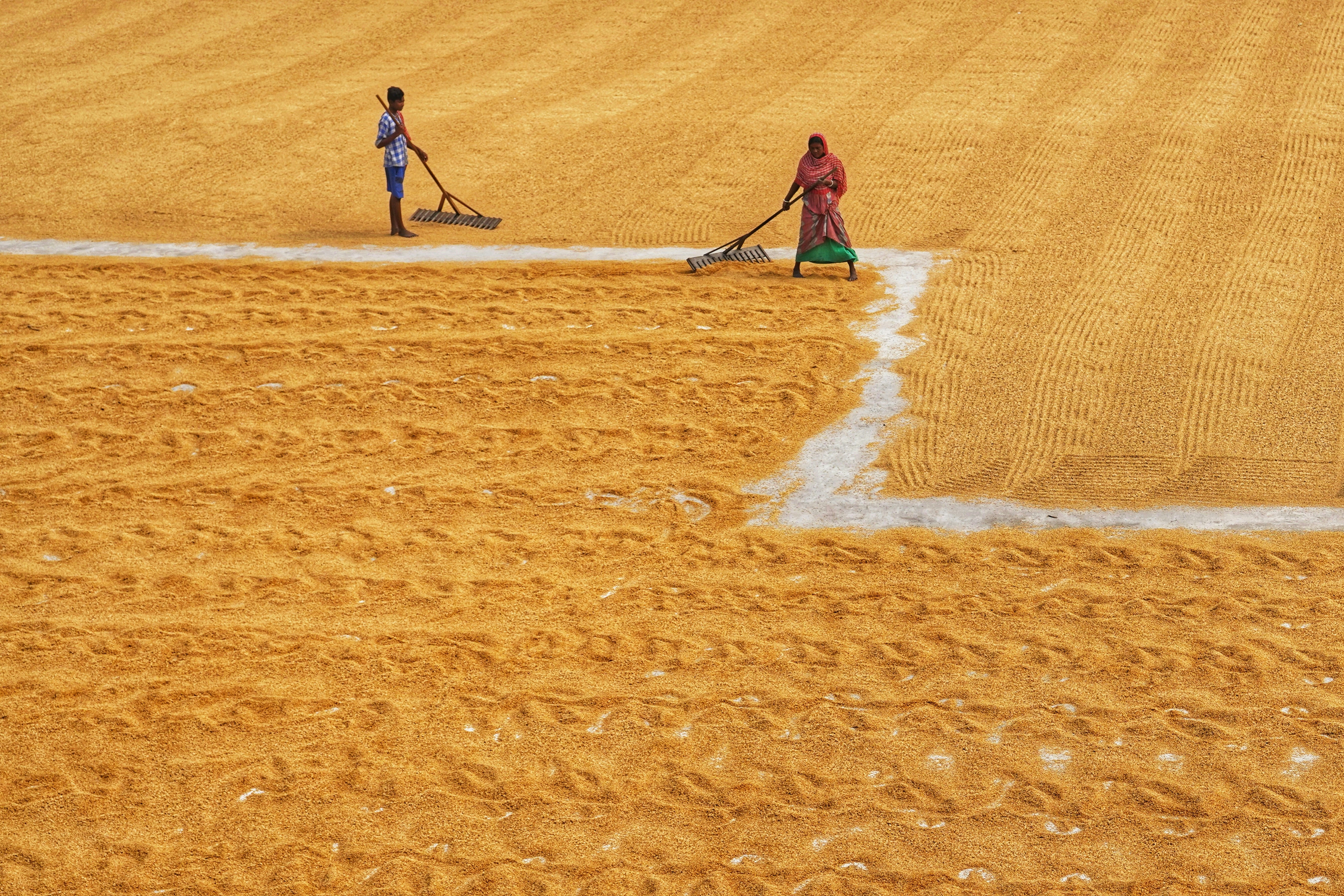 Photo by dibakar16roy