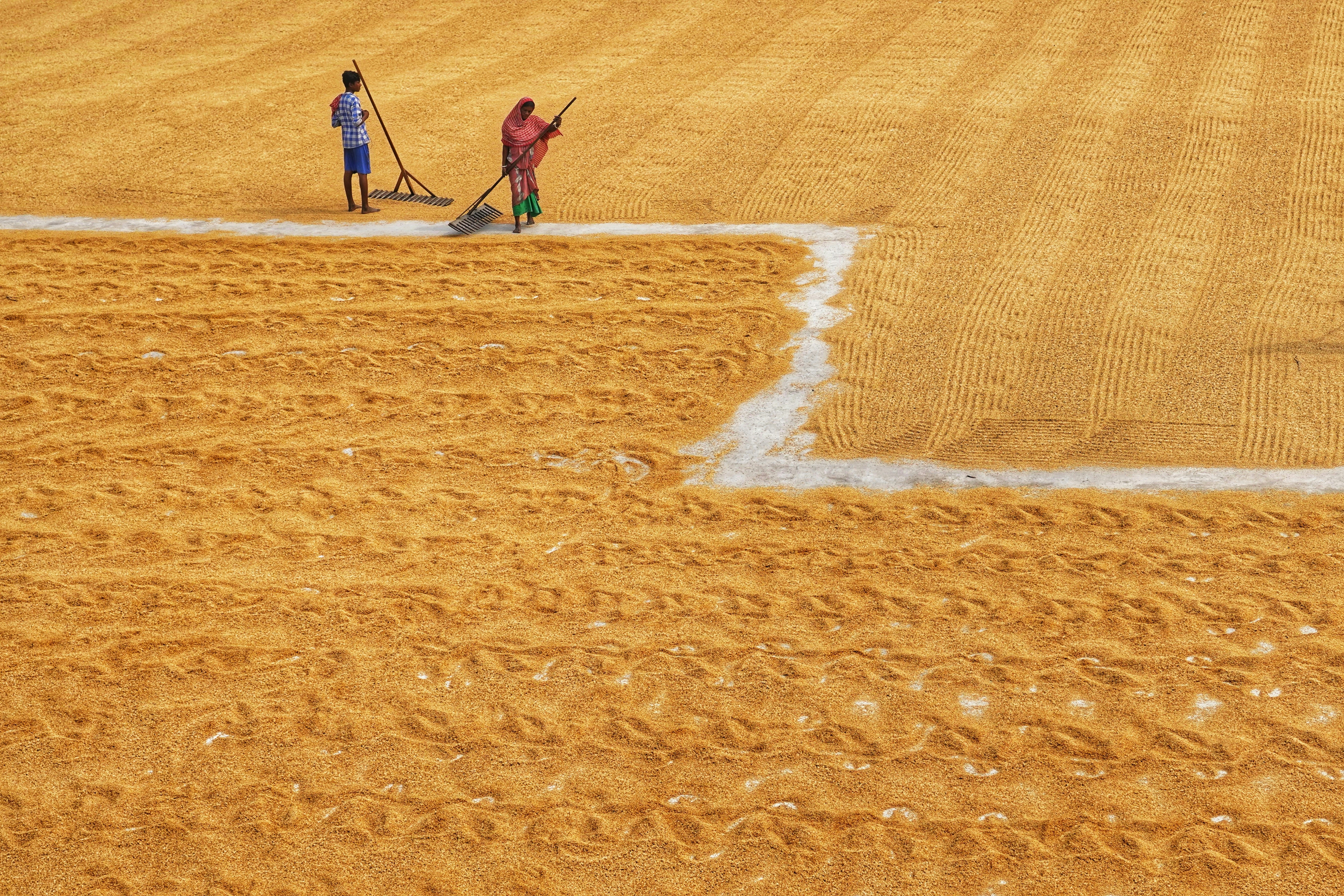 Photo by dibakar16roy