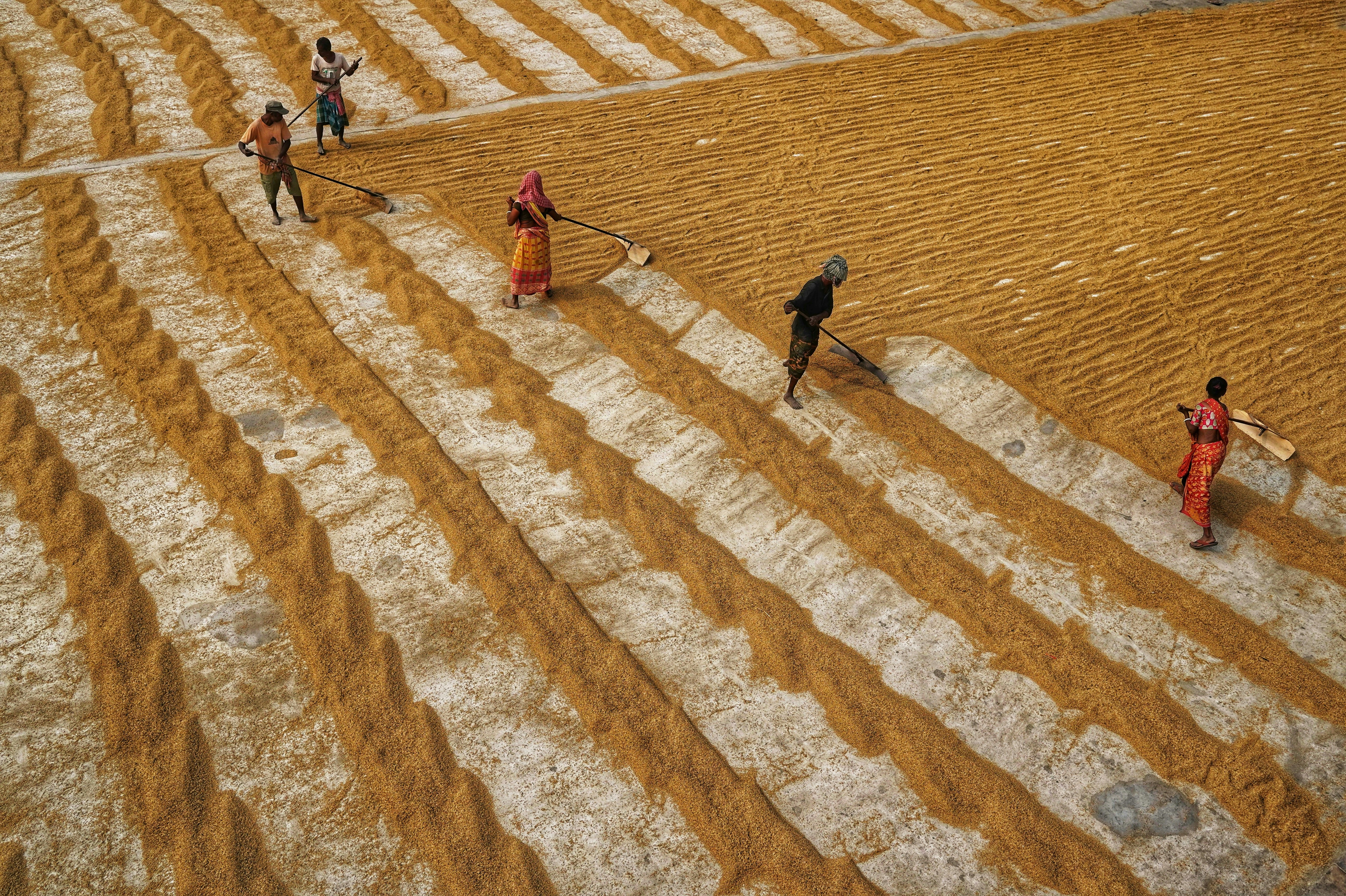 Photo by dibakar16roy