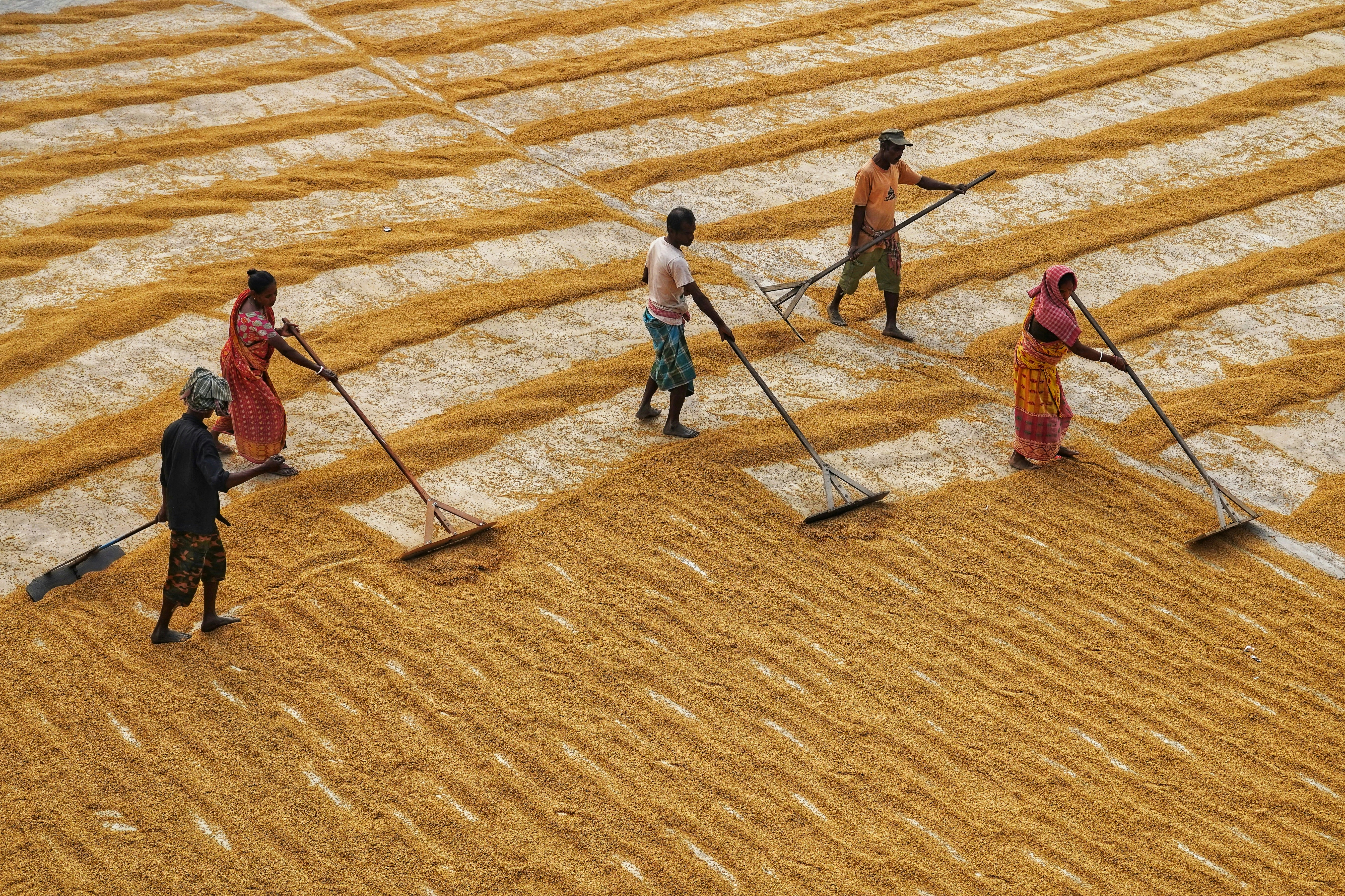 Photo by dibakar16roy