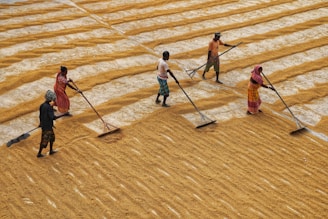 a group of people standing on top of a dry grass field