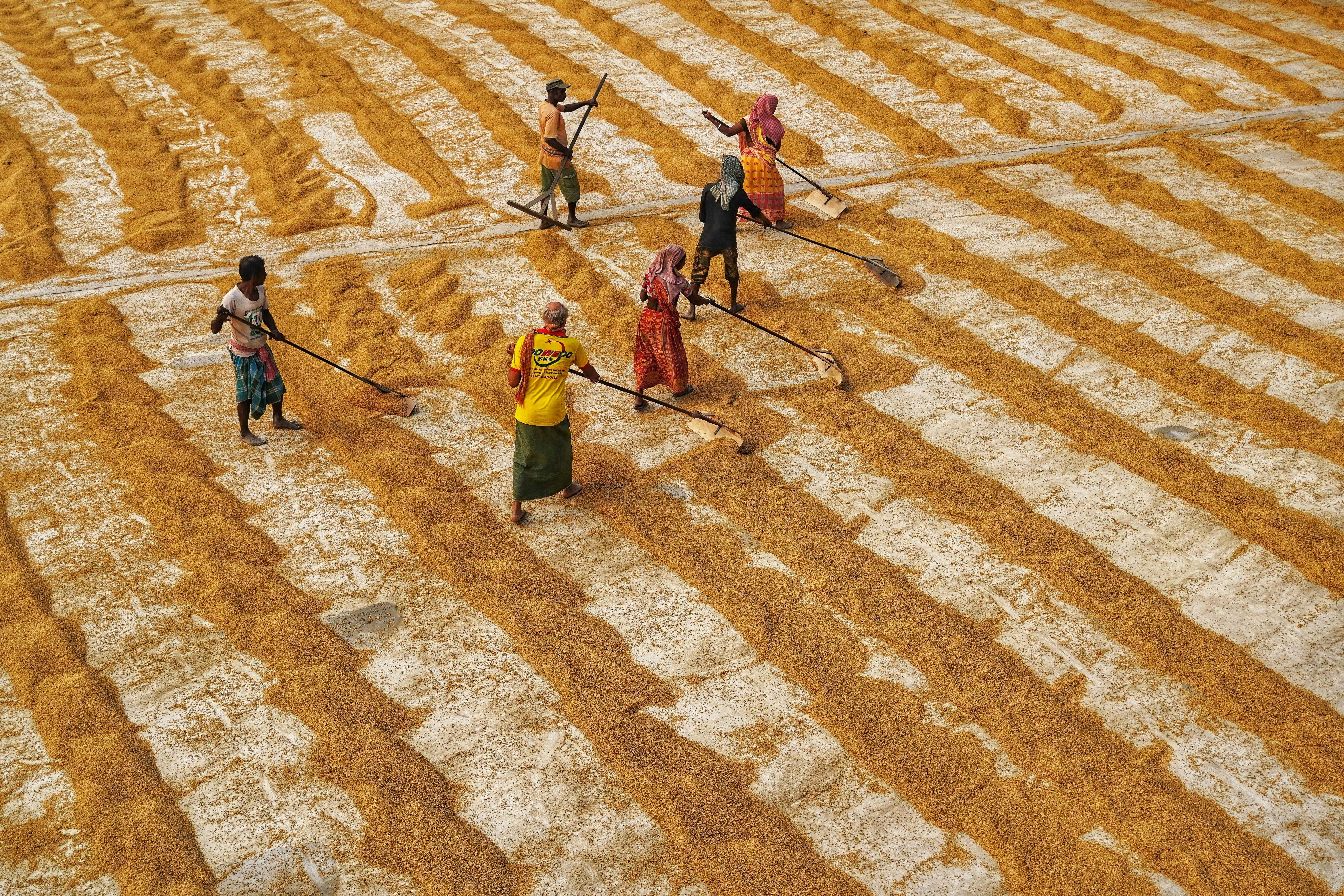 Photo by dibakar16roy