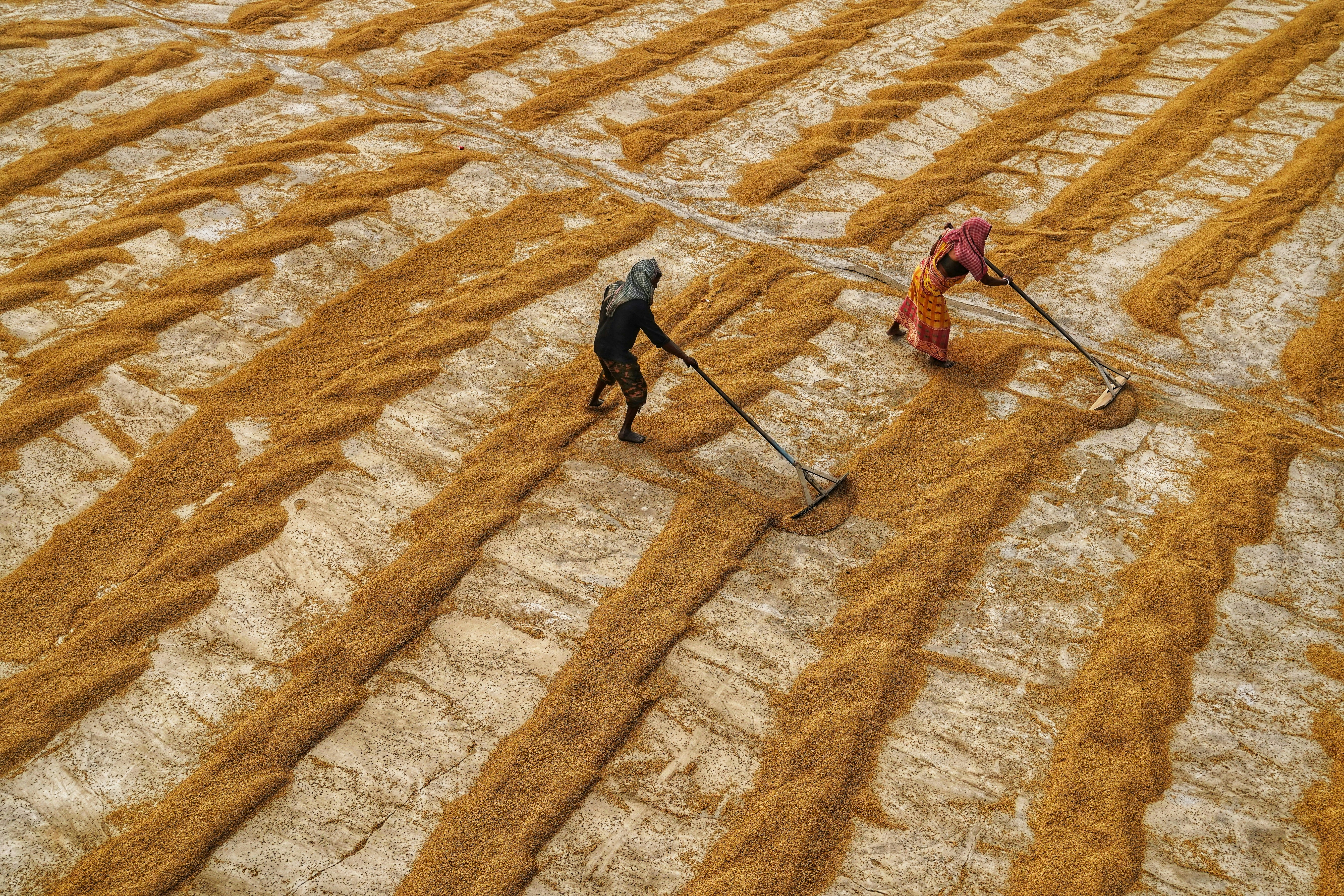 Photo by dibakar16roy