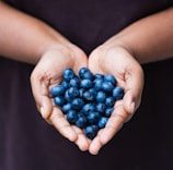 Hands gently holding a handful of freshly picked wild blueberries against a soft natural background.