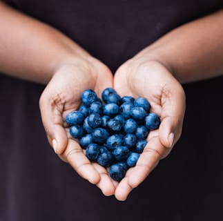 A hand holding a handful of plump, organic blueberries.